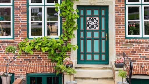 Ivy at the front door of a house in Gluckstadt