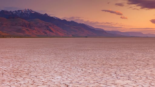 Cracked earth in remote Alvord Desert, Oregon, USA at sunrise