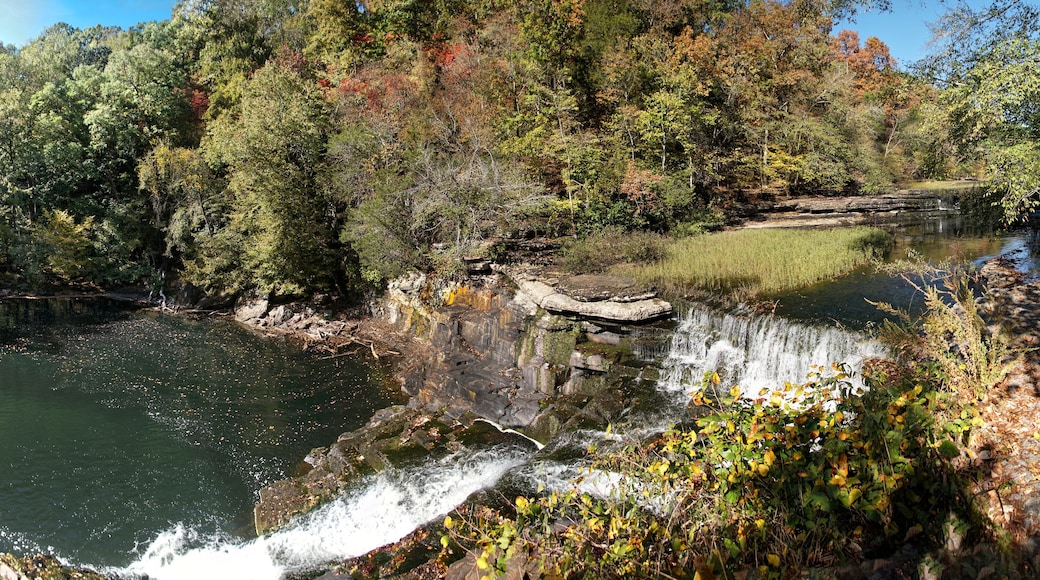 Duck River, Manchester TN