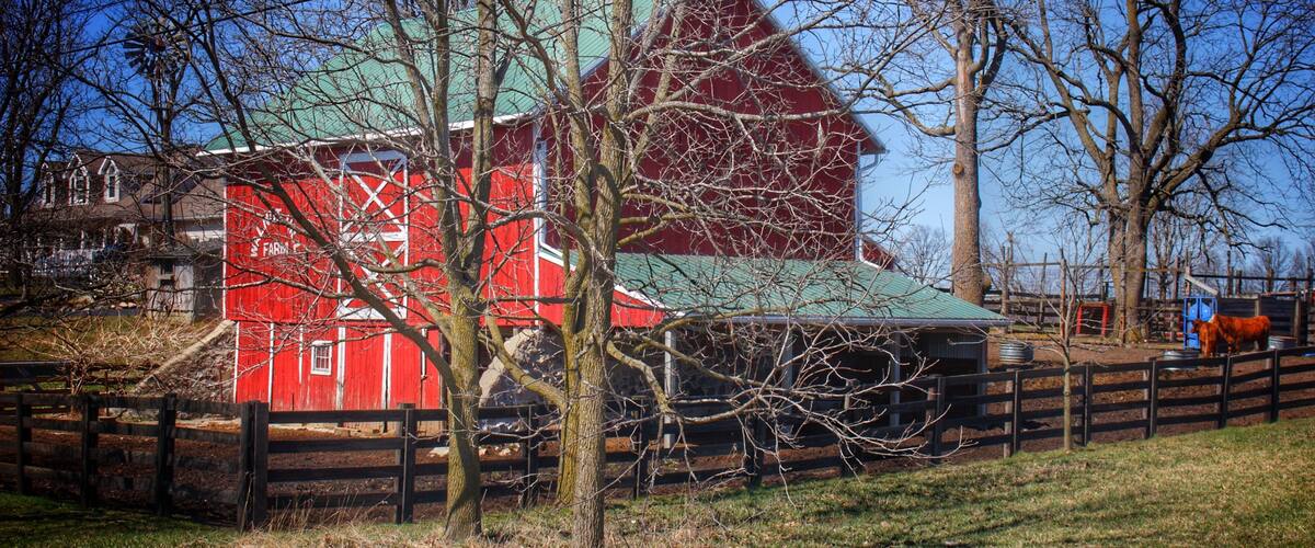 0979 - Imlay City Road Cow Barn (0979-BAR-040220-0125P)