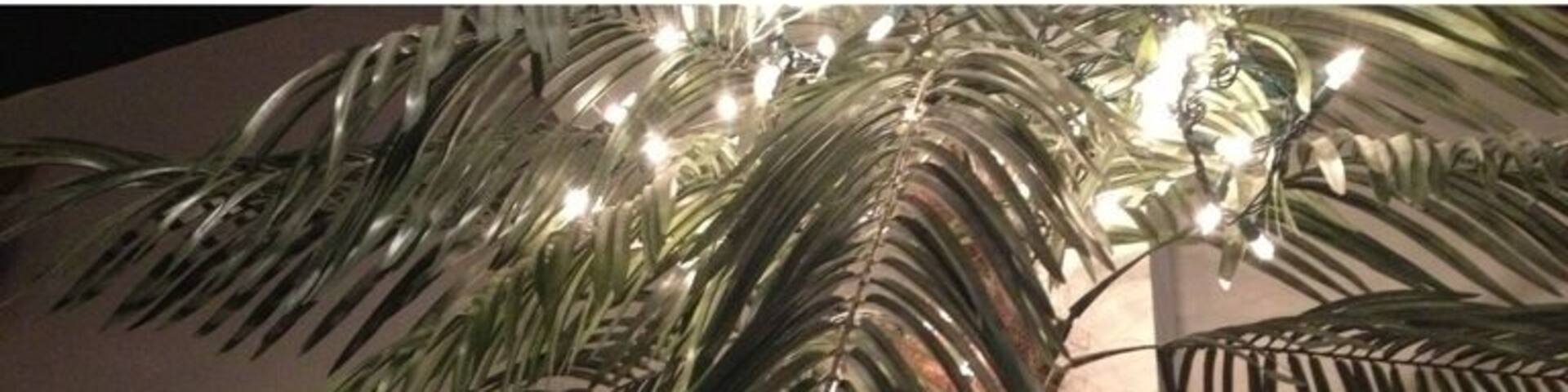 Amazing happy hour specials here. Luv Ryan the bartender!!