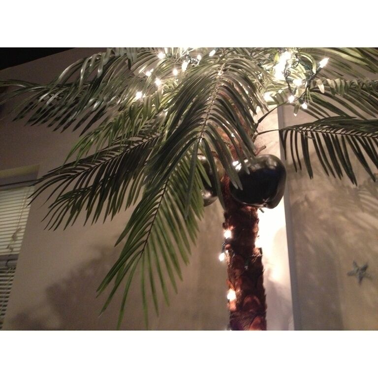 A palm tree with lights and a wall with a butterfly decoration.