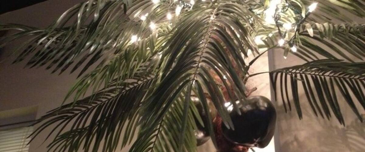 A palm tree with lights and a wall with a butterfly decoration.