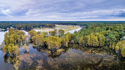 ميكانيكسفيل