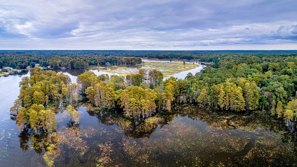 An aerial view of a river surrounded by dense forest and a small settlement.