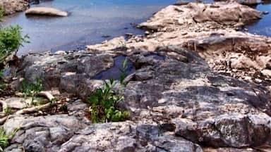 In the 1930s, in an effort to keep floodwaters at bay, the civilian conservation corps built an earthen weir to protect the borough of Morrisville between the two automobile bridges. The land on the river side of that weir affords calm, quiet views of the river and of neighboring Trenton. In view is the Calhoun St. Bridge.