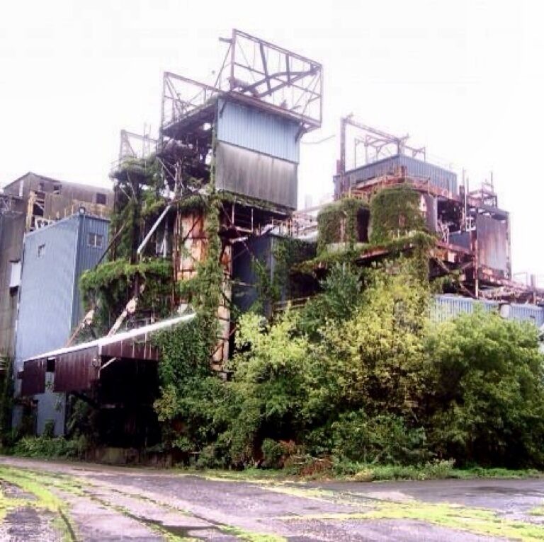 A corn syrup transfer station, there was a long past time when it manufactured the product.  Today the production facilities sit unused, occupied only by animals.

#lovemytown
