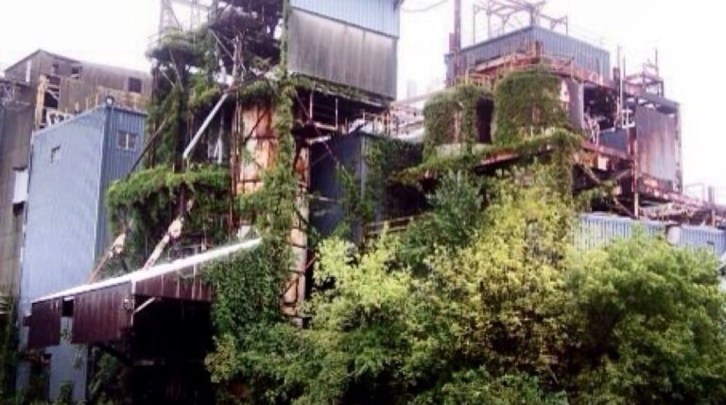 A corn syrup transfer station, there was a long past time when it manufactured the product. Today the production facilities sit unused, occupied only by animals.
#lovemytown