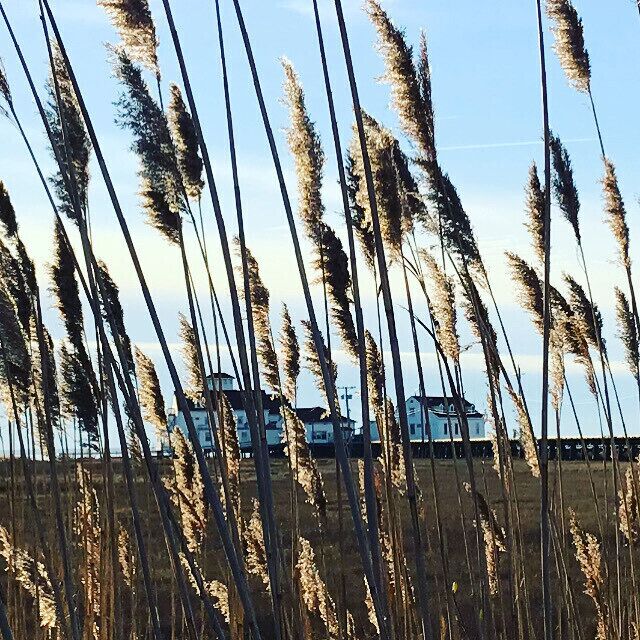 Rutgers Environmental
Center. Formerly a Coast Guard Station. LEH, NJ.