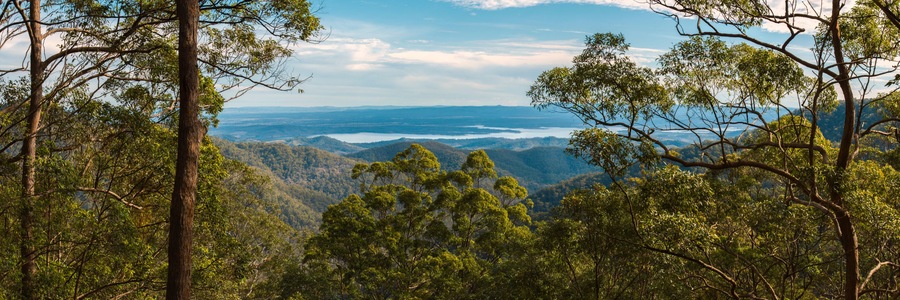 A mountainous landscape with dense green foliage and a view of distant water bodies.