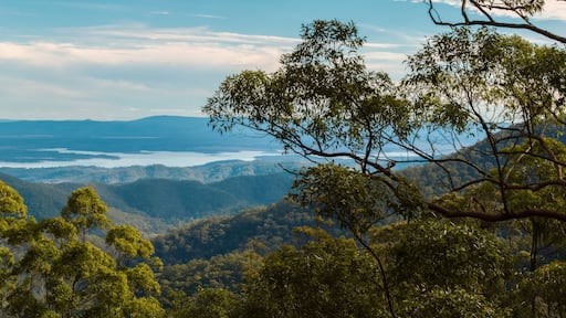 A mountainous landscape with dense green foliage and a distant body of water.