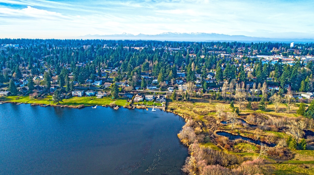 ماونتليك تراس