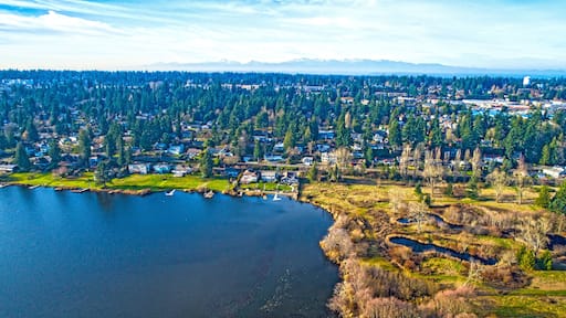 A lakeside residential area with houses, dense forests, and mountains in the background.