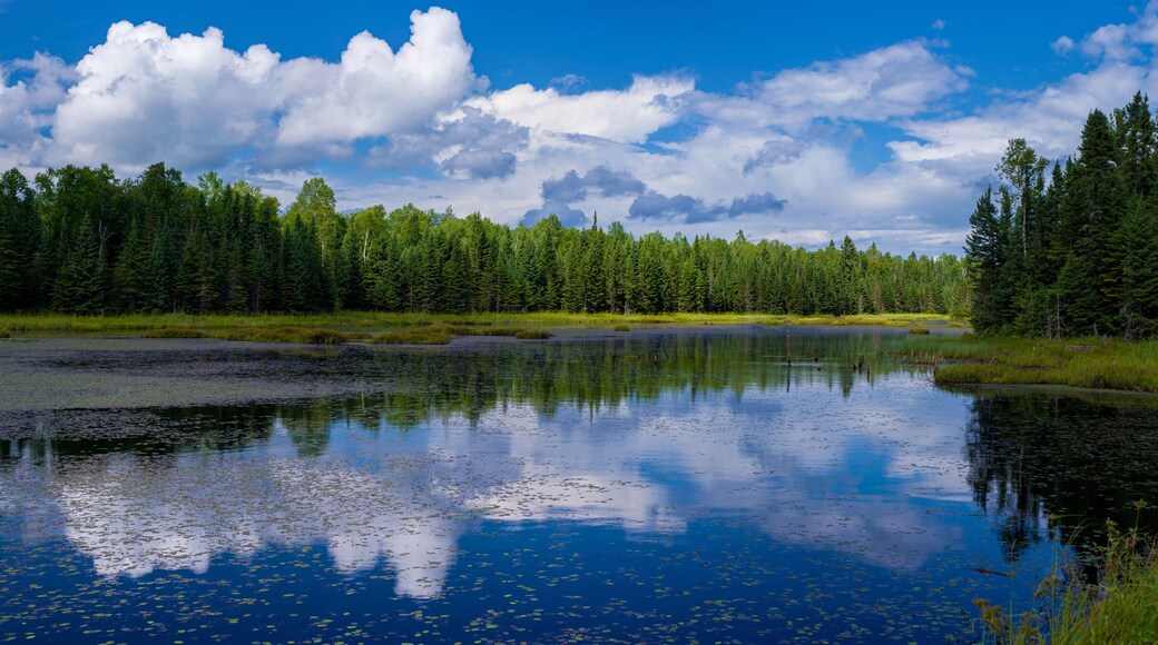 reflections, lake gust, minnesota