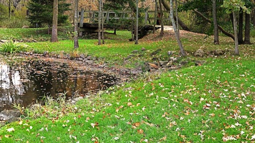 Rural County Park Wisconsin, stream winding through a woods and prairie, with a small foot bridge in the background. Panorama