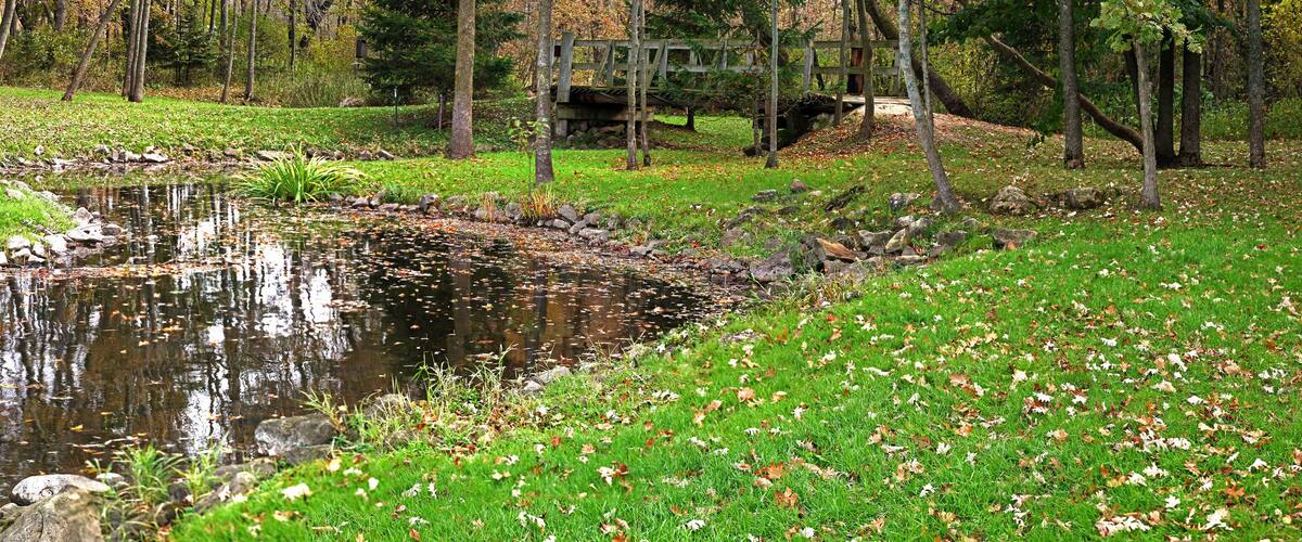 A pond surrounded by grass and trees, with a wooden bridge in the background.