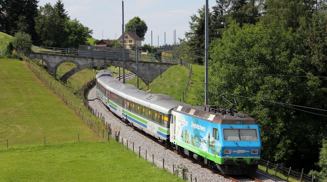 SOB Re 456 096-7 with "Voralpen-Express" advertising and the IR 2424 Voralpen-Express Romanshorn - Luzern.