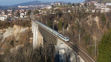 A Voralpenexpress service from St. Gallen to Lucerne operated by SĂŒdostbahn is crossing the Sitter viaduct near St. Gallen, Switzerland. The train consists of two RBDe 561 "NPZ" EMUs and six Revvivo coaches.