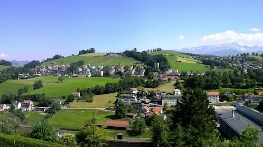 Herisau AR, auf der RĂŒti bei mit Sicht auf den Alpstein / Juli 2010