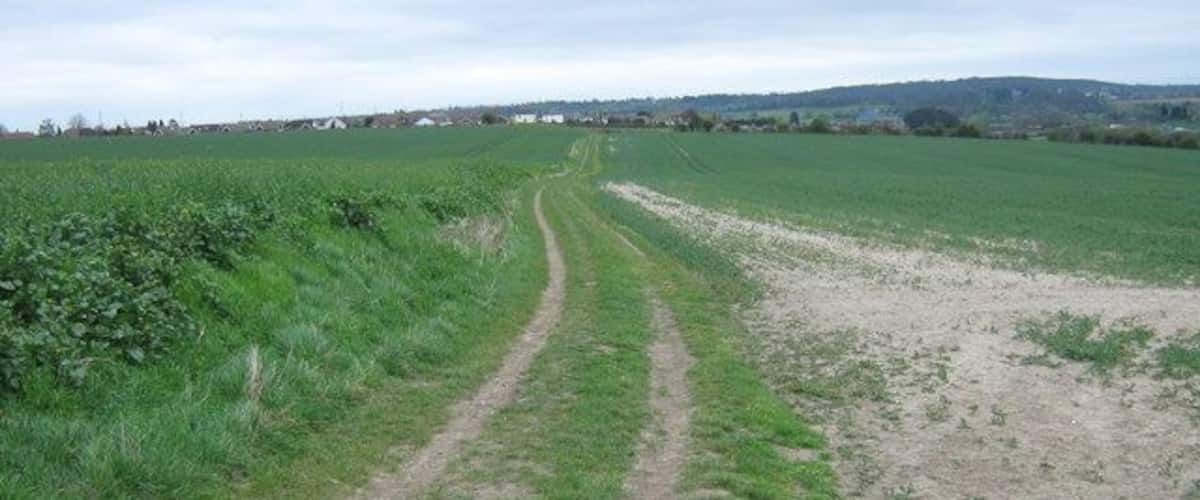 Bridleway to Hawley This bridleway goes through a large rape field on farm track from Gosshill Road to Shirehall Road, Hawley.