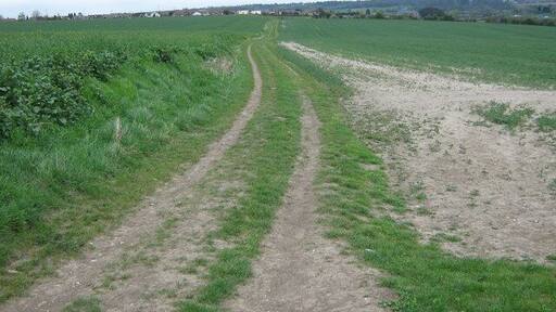 Bridleway to Hawley This bridleway goes through a large rape field on farm track from Gosshill Road to Shirehall Road, Hawley.