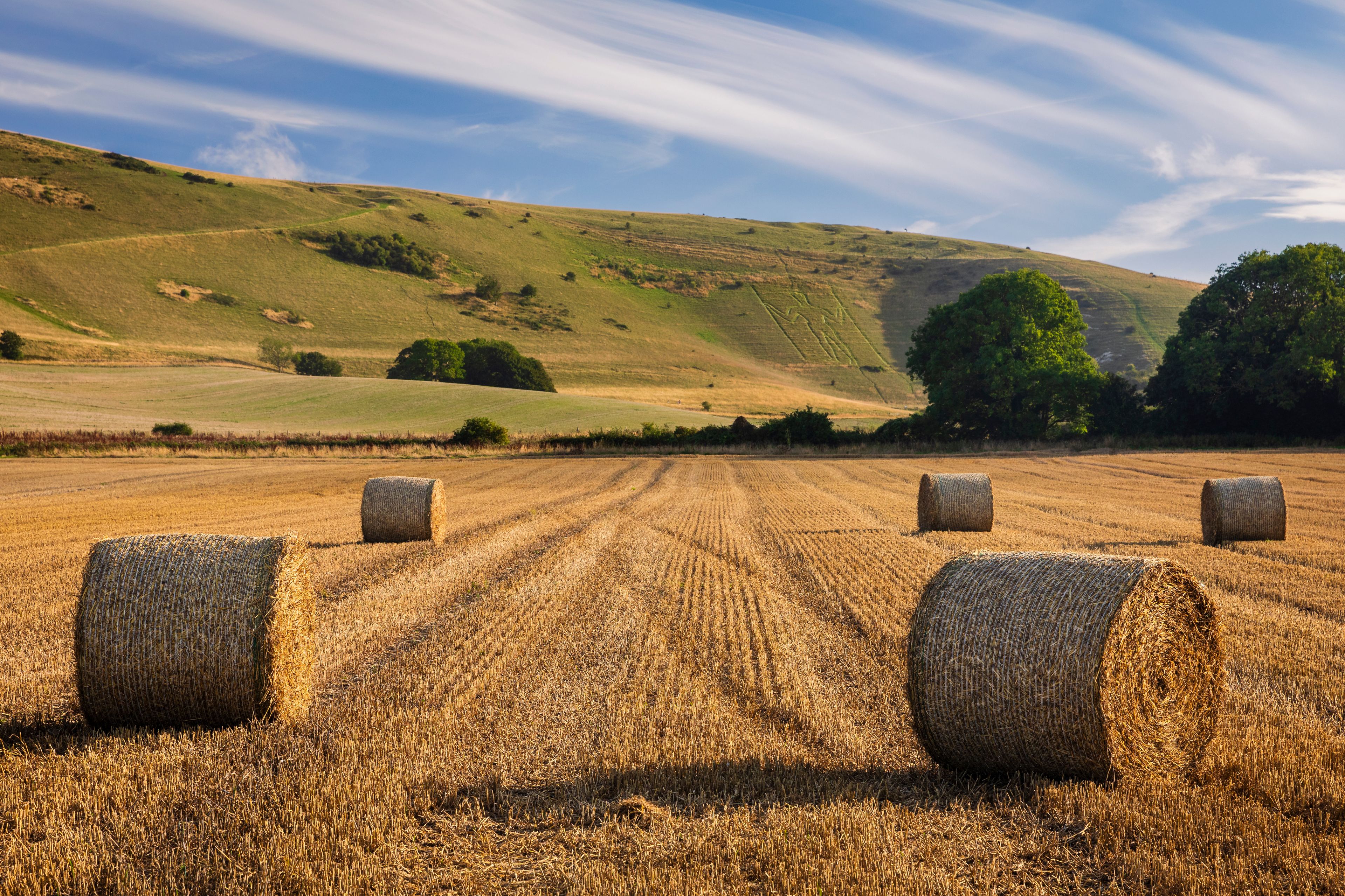 A field with hay bales and rolling hills in the background.
