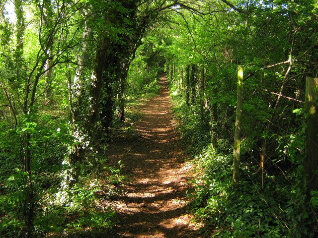 Footpath in Paxwood This footpath leads from B258 Top Dartford Road, to Rowhill Road.