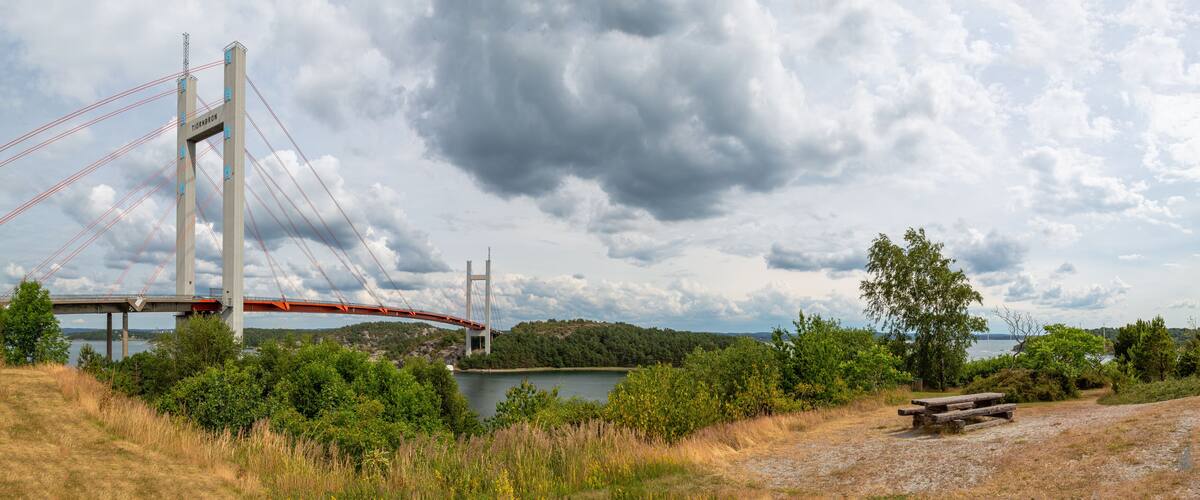 A suspension bridge over a river, surrounded by greenery and a cloudy sky.