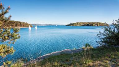 A calm lake with sailboats, surrounded by forested hills and clear skies.