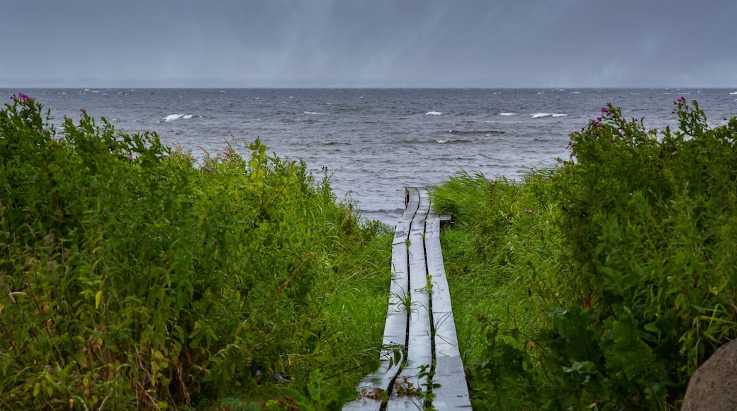 A boardwalk with the blue ocean in the background. Dark dramatic clouds. The picture was taken near Loddekopinge in Scania, southern Sweden