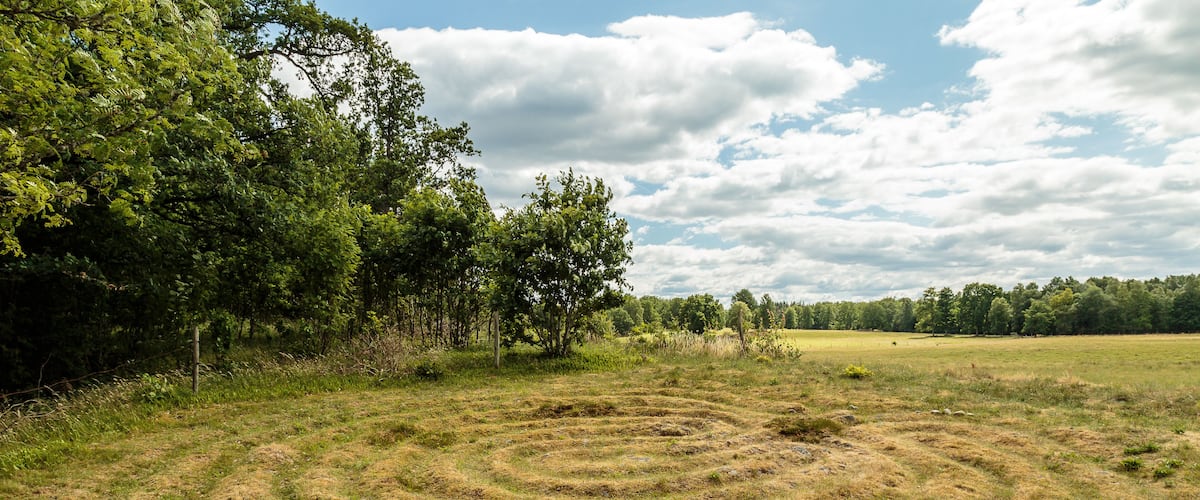 A maze in a grassy field with trees and a cloudy sky.