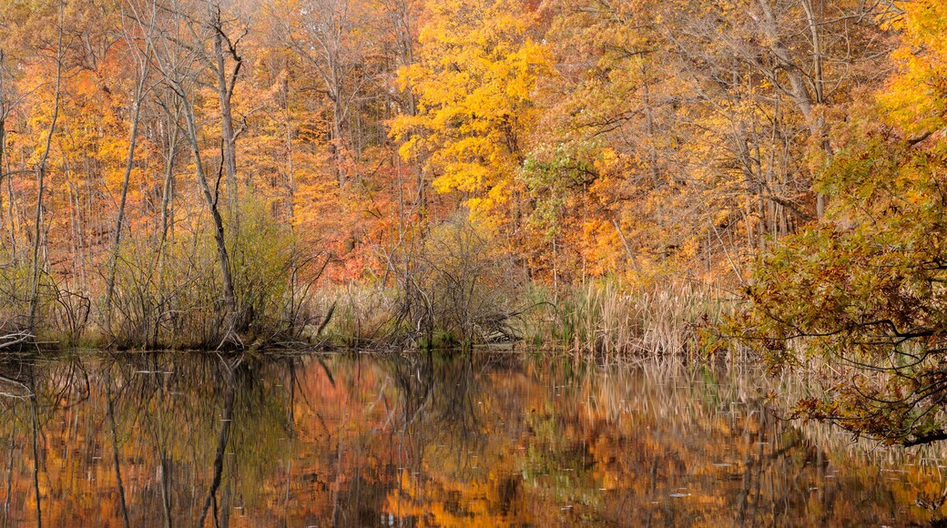 A small pond in Ridge Run Park, West Bend, Wisconsin in late October reflects the colorful shoreline on its still surface