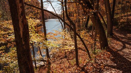 Overlooking Wells Lake, with the National Ice Age Trail adjacent, at Ridge Run Municipal Park, West Bend, Wisconsin in mid-October