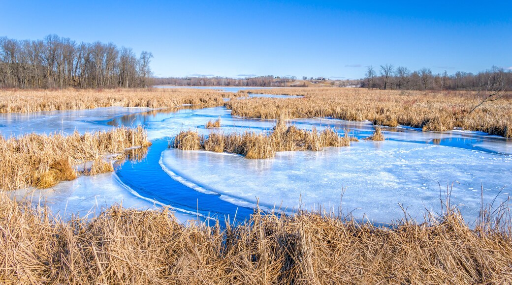 Winter View of Wolf Lake