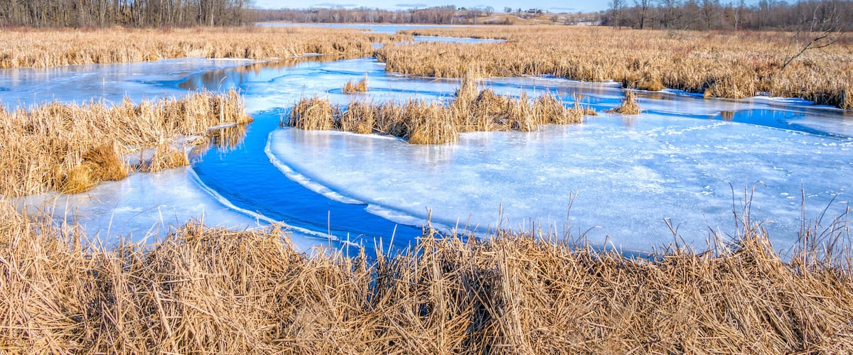 Winter View of Wolf Lake