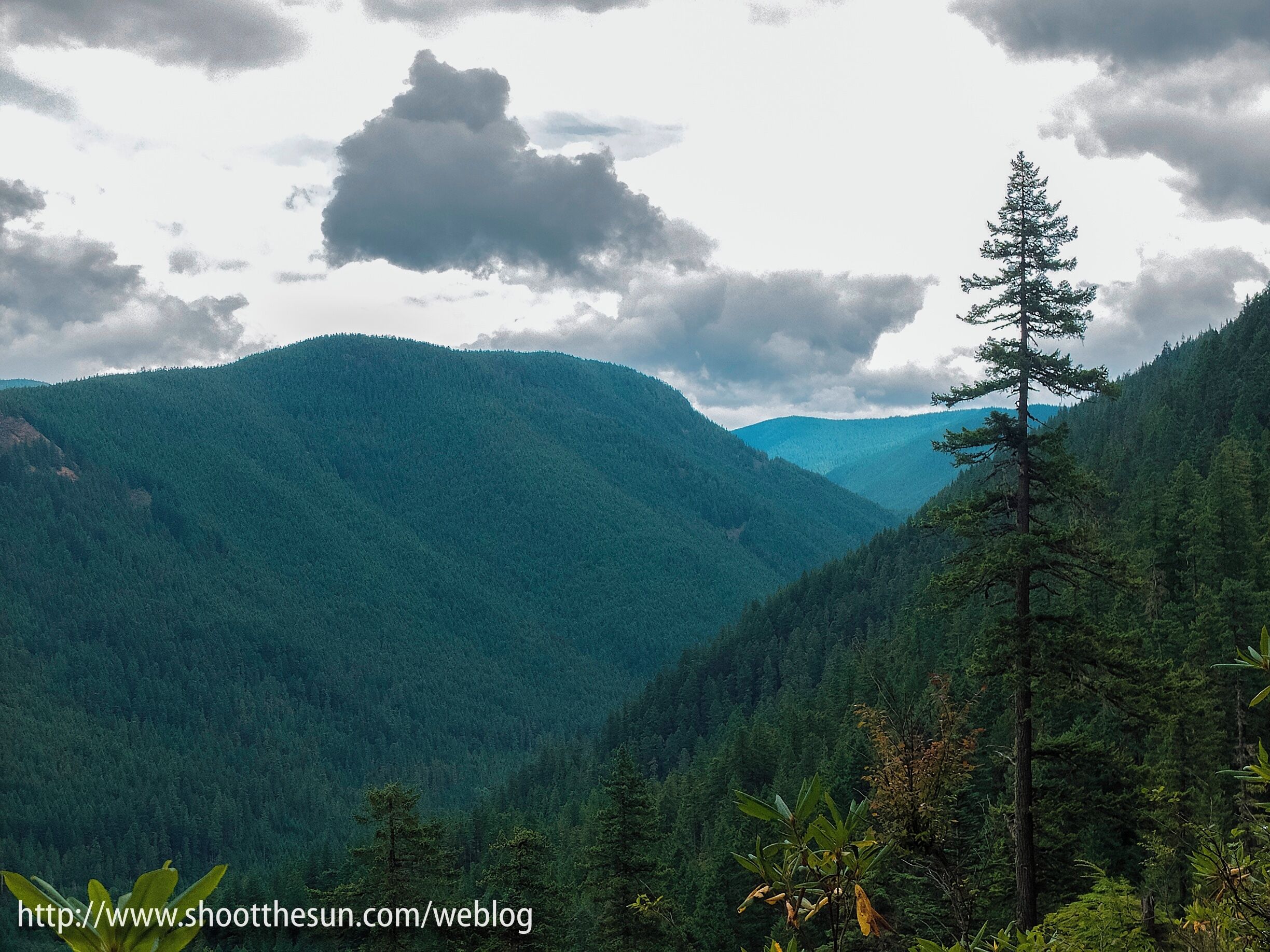 The rain came in about a half-mile from the trailhead on our way back to the car.  But there were clouds hanging around all day.

This is fairly usual weather in Oregon and Washington, though not particularly in the summer.

Truth be told, we haven't seen much of it this year.