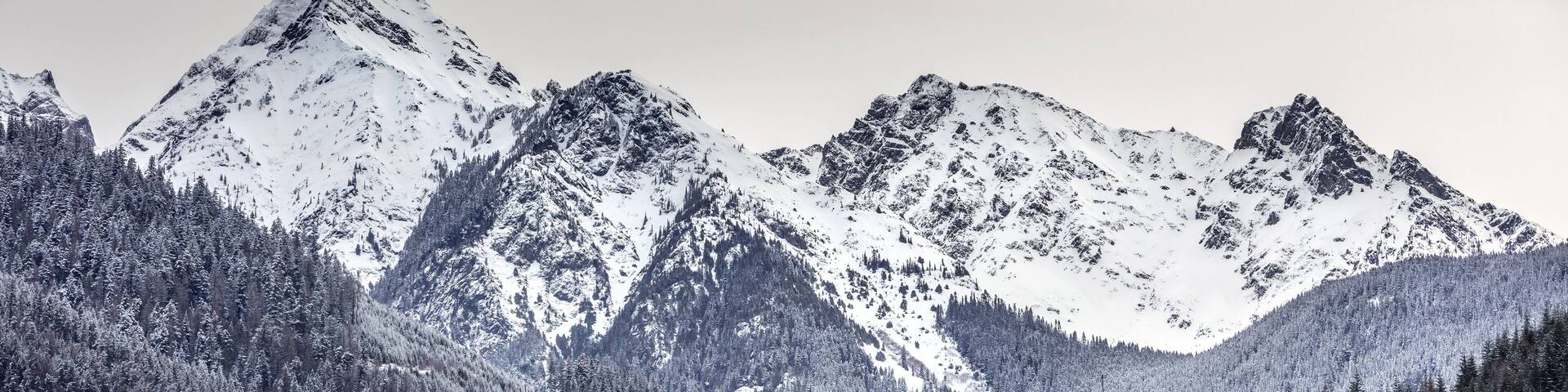 Snowy mountain peak of Mount Welch