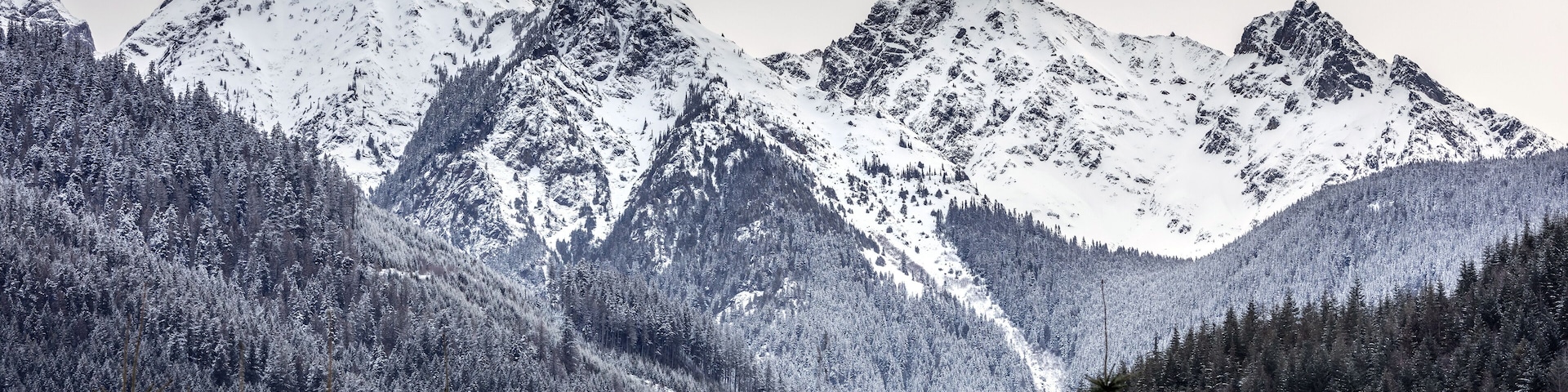 Snow-covered mountains and dense forests.