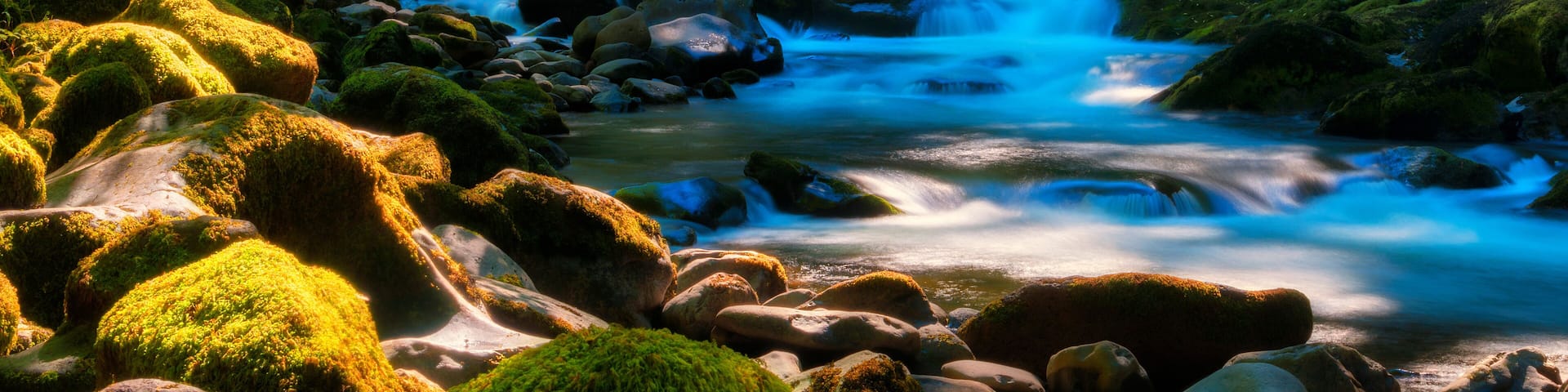 Salmon River Mt. Hood National Forest