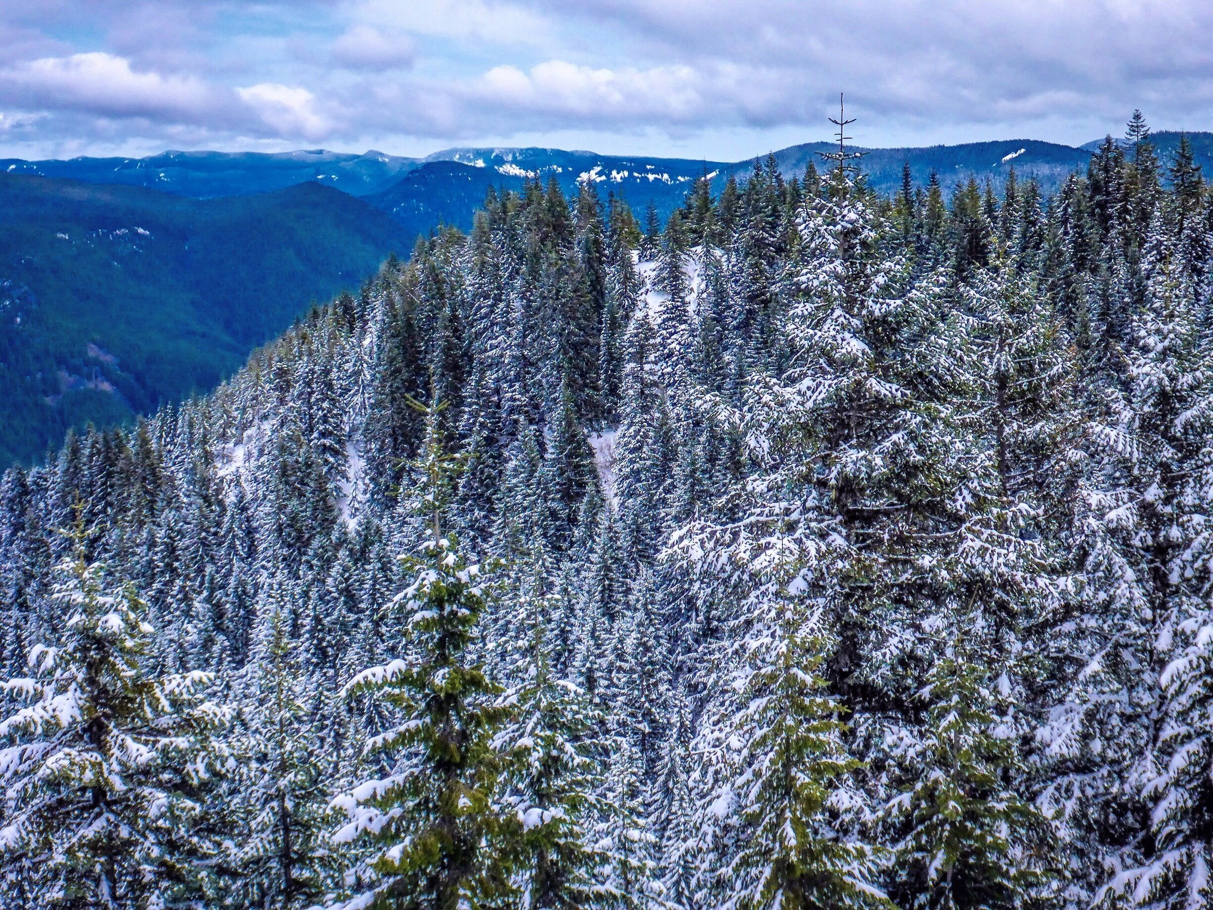 About three quarters of a mile before the summit, I climbed a twenty-foot ridge to get this view.  Shortly thereafter, hip-deep in snow, we decided to abandon the effort and return on a warmer day.

You cannot understand disappointment until you have climbed a mile in the air, thwarted by false trails, downed trees and thick snow to arrive a hundred feet below and a half-mile away from your goal, only to abandon the very thing you set out to accomplish.  Not all good decisions leave you satisfied.