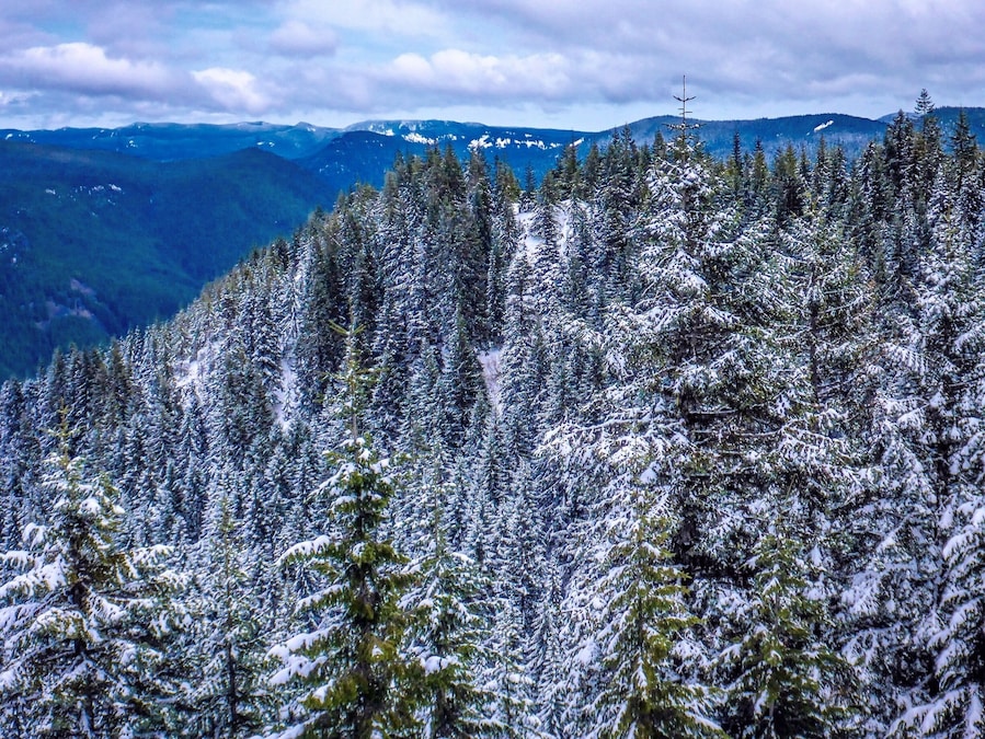 About three quarters of a mile before the summit, I climbed a twenty-foot ridge to get this view.  Shortly thereafter, hip-deep in snow, we decided to abandon the effort and return on a warmer day.
You cannot understand disappointment until you have climbed a mile in the air, thwarted by false trails, downed trees and thick snow to arrive a hundred feet below and a half-mile away from your goal, only to abandon the very thing you set out to accomplish.  Not all good decisions leave you satisfied.