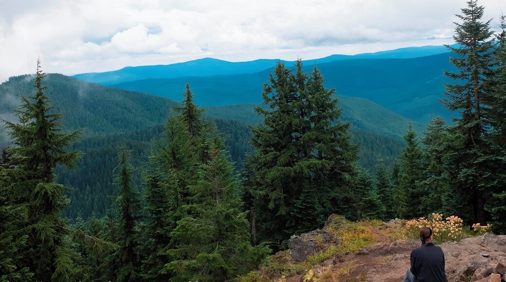 The view from the top of Devil's Peak is jaw-dropping, even on a day socked in with clouds.