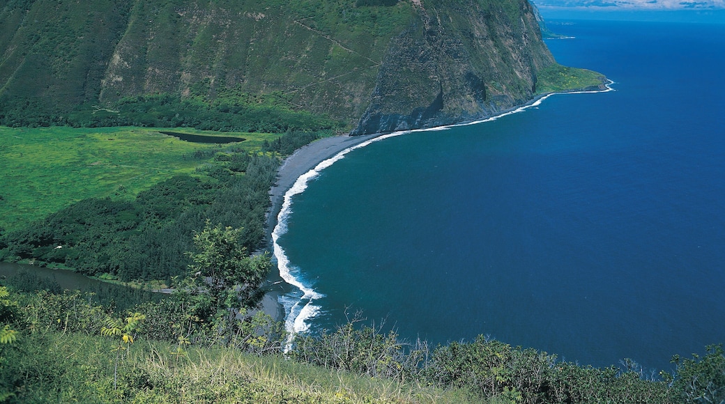 Waipio Valley, Hawaii, Hawaiian Islands