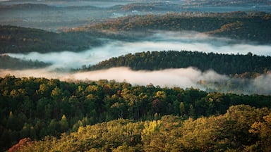 Blue Ridge Foothills Mountain in the Morning