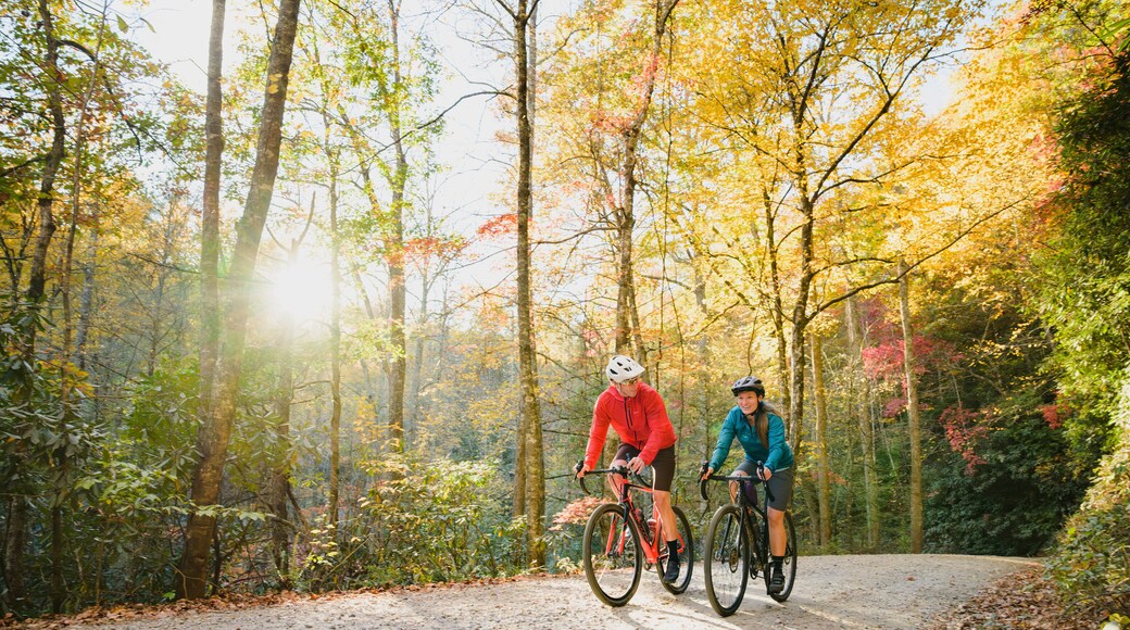 A couple gravel biking near Blue Ridge Parkway in autumn, Pisgah North Carolina