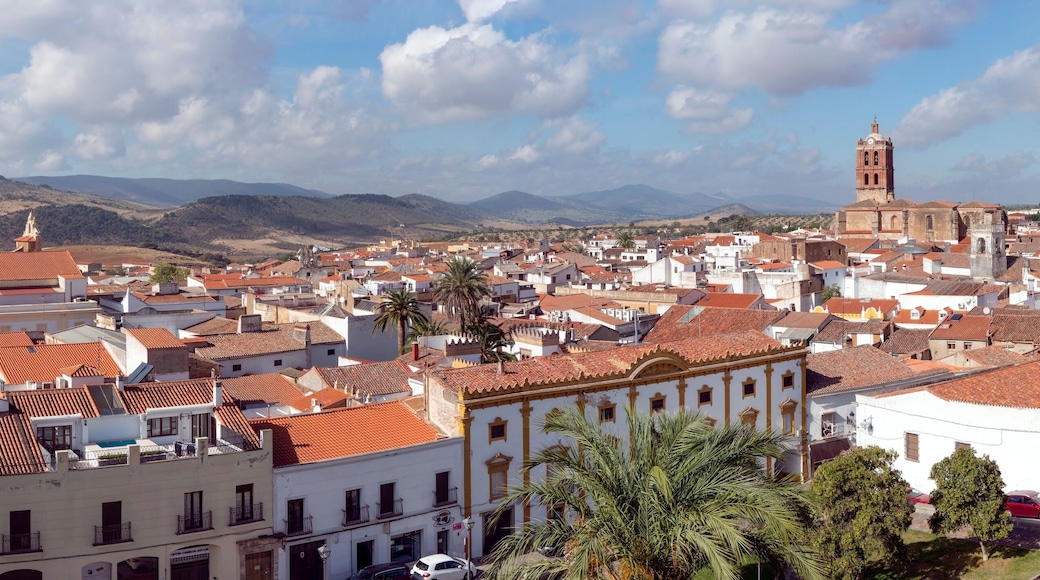 Panoramic view of the Extremaduran town of Zafra, in the province of Badajoz, Extremadura, Spain.
