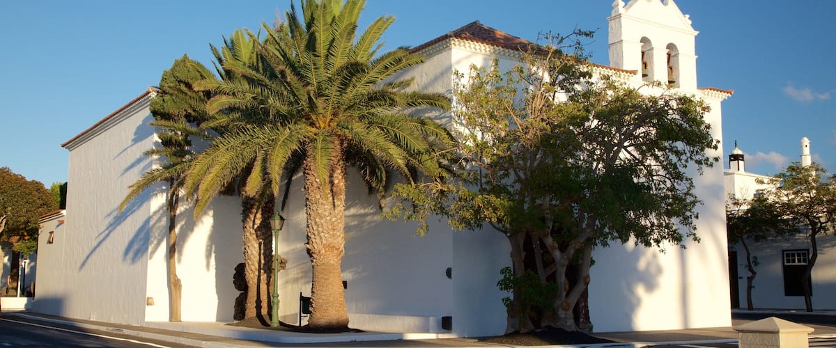 A white church with a bell tower, palm trees, and a clear blue sky.