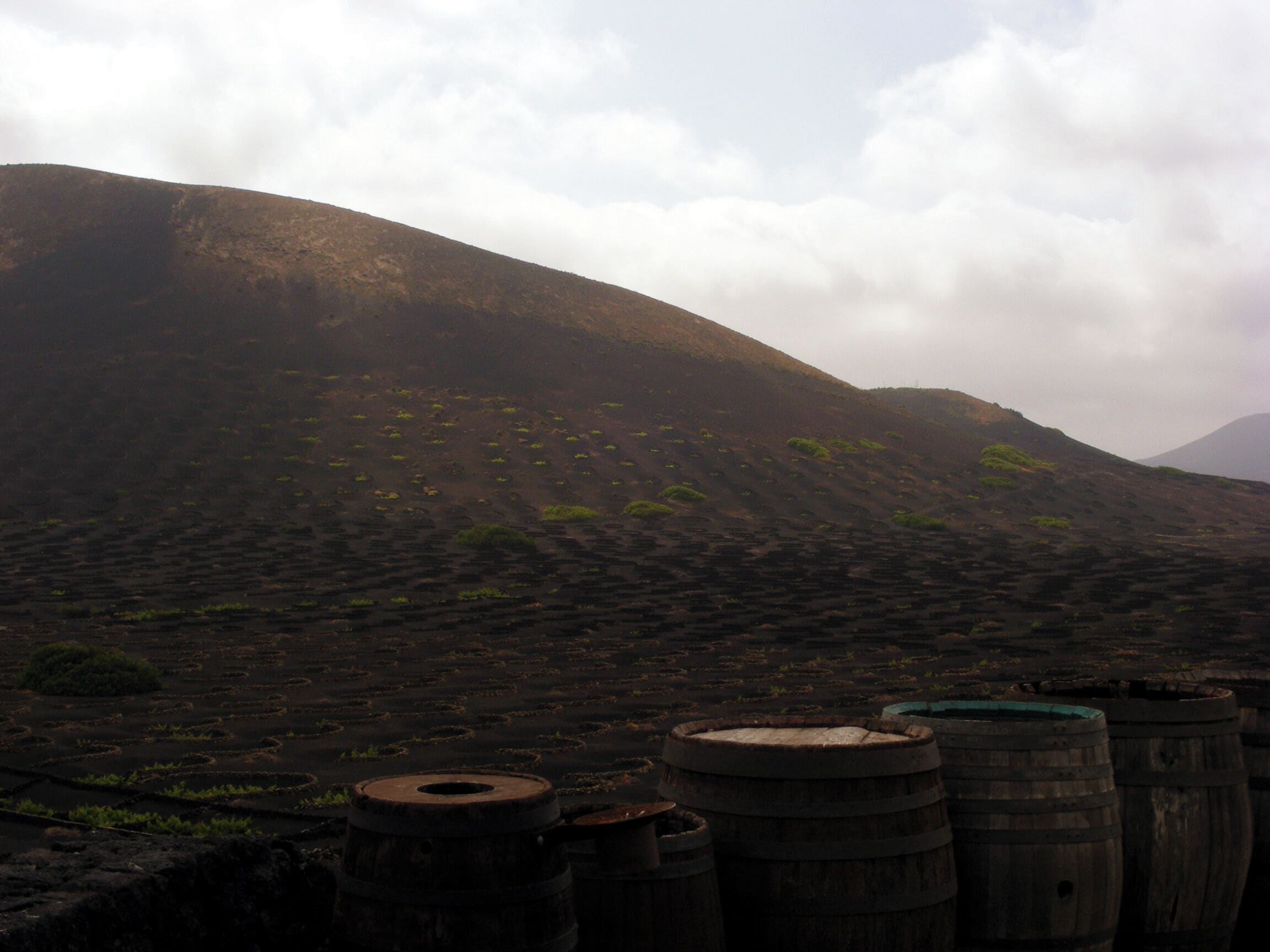 Lanzarote May 2010 - La Geria vineyards