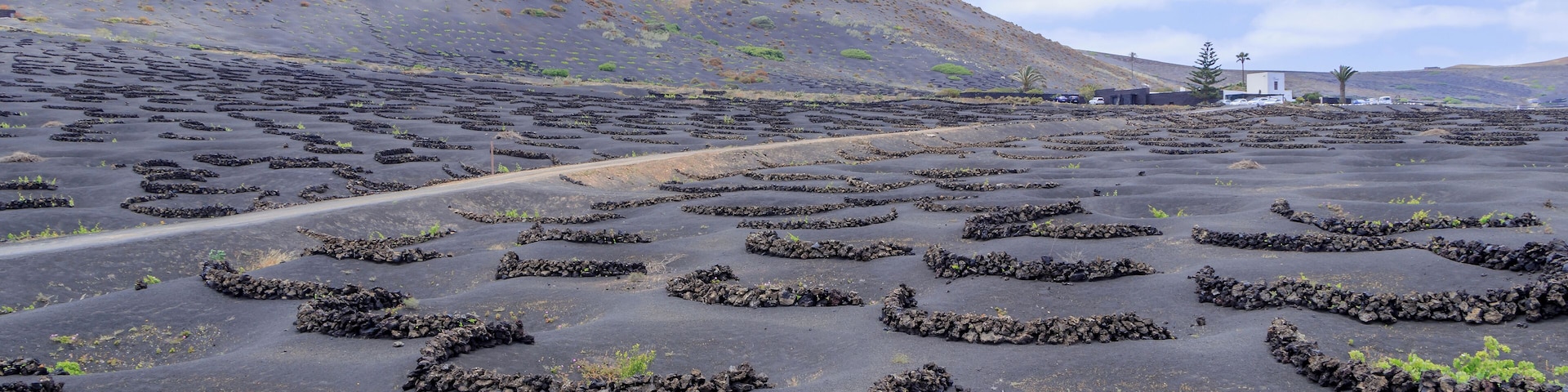 Viticulture northeast of Uga, municipality of Yaiza, La Geria, Lanzarote, Canary Islands, Spain.