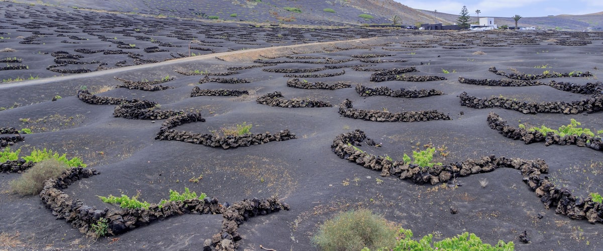 A volcanic landscape with lava fields and a distant mountain.